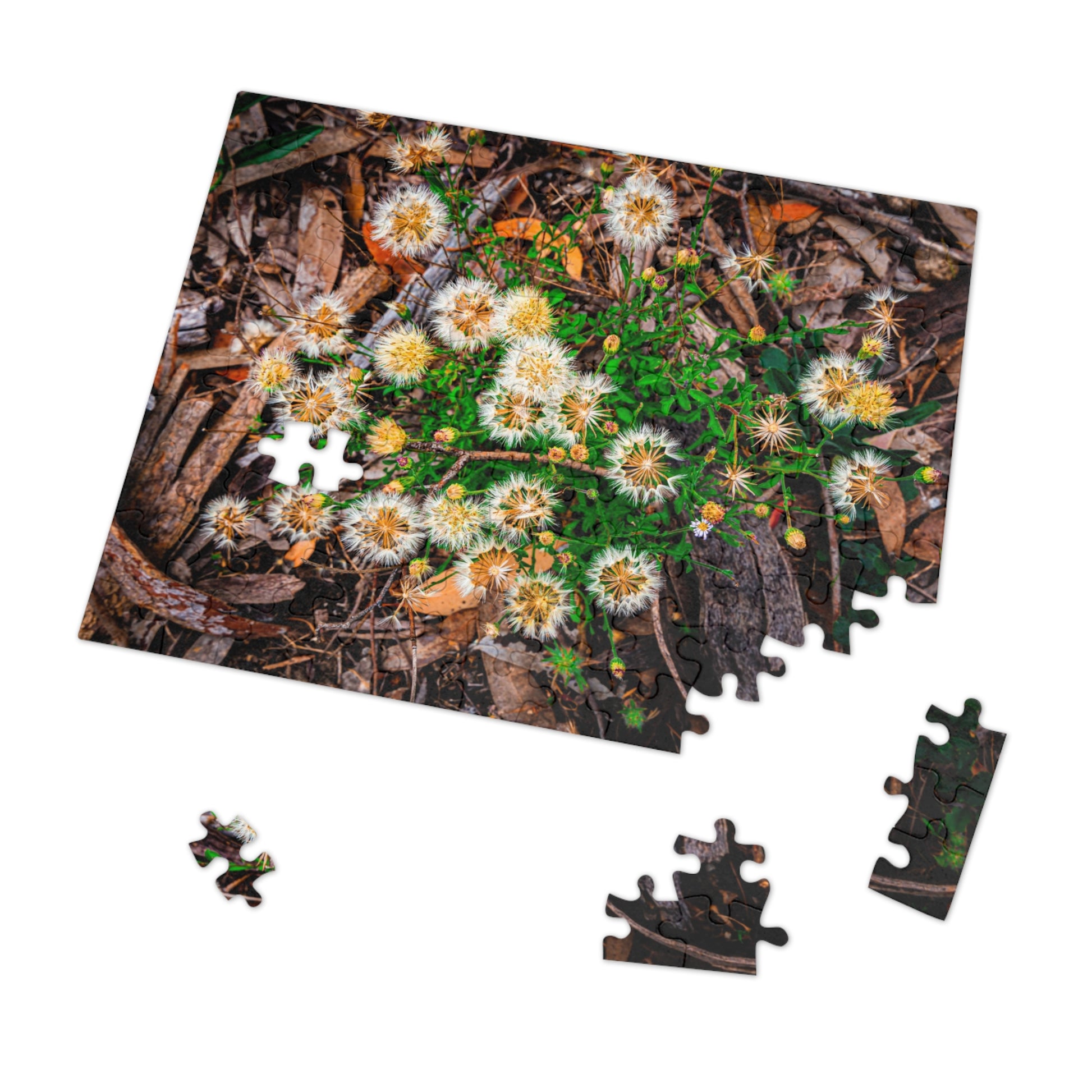 Australian Wildflower Jigsaw Puzzle 2000 piece
