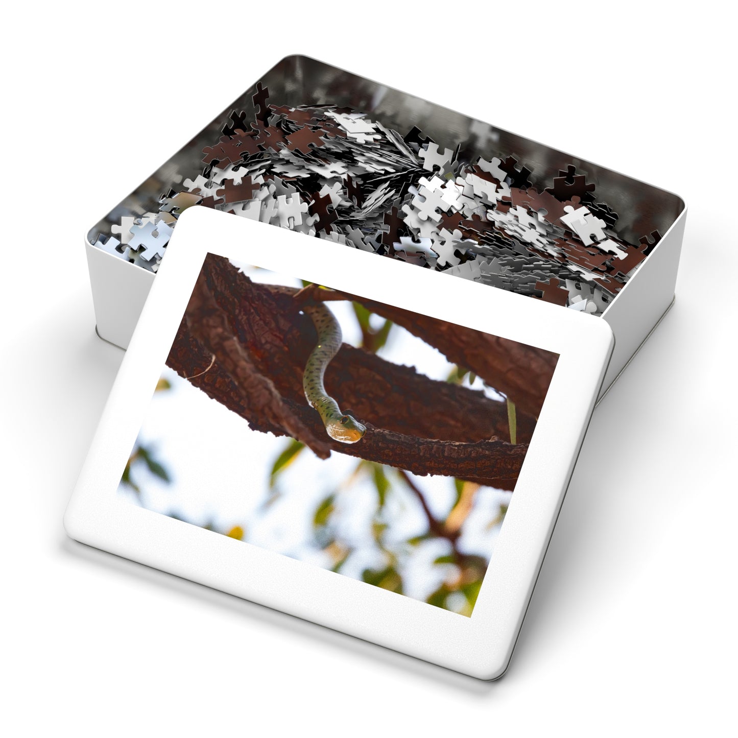 Spotted Bush Snake Puzzle with Tin