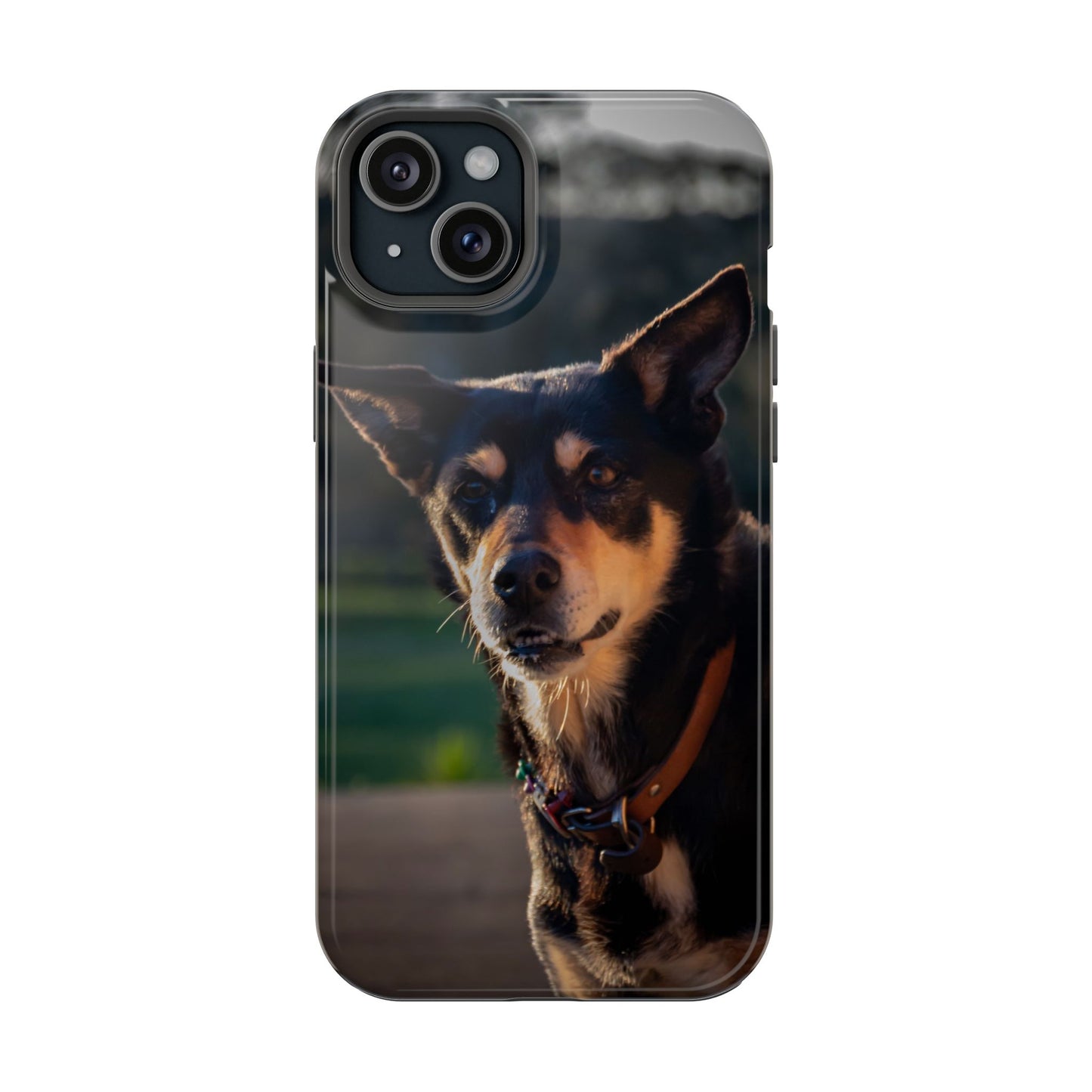 Magsafe® Compatible Tough Cases - Saba The Kelpie iPhone 15 Plus Glossy