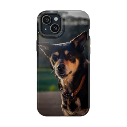 Magsafe® Compatible Tough Cases - Saba The Kelpie iPhone 15 Plus Glossy
