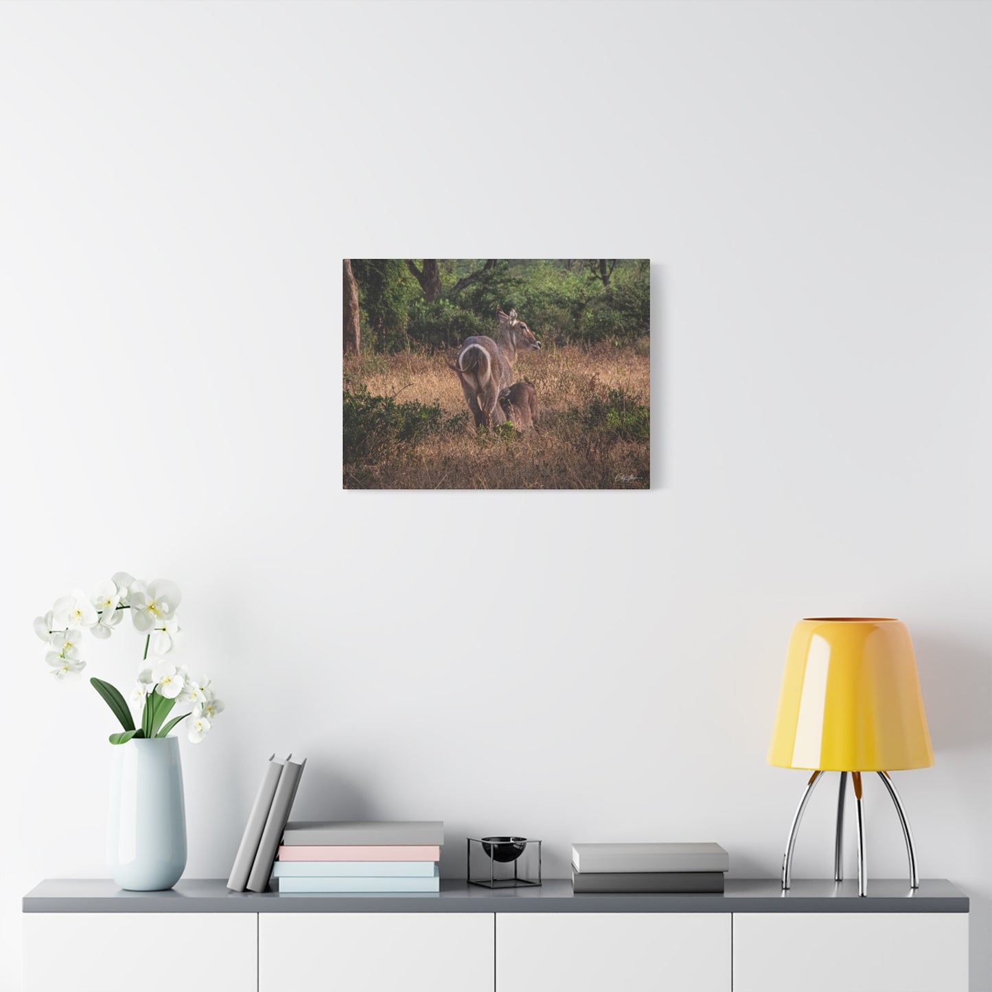 Matte Canvas, Stretched, 1.25" - Waterbuck and Baby