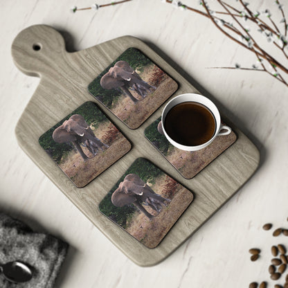 Calf Drinking Elephant Coasters