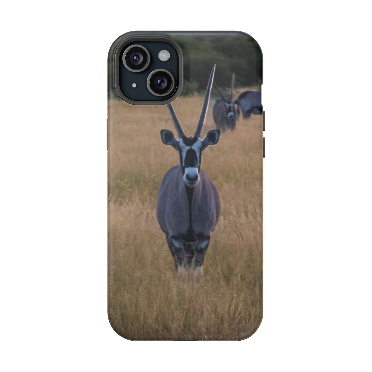 Gemsbok Oryx Magsafe Case iPhone 15 Plus Matte