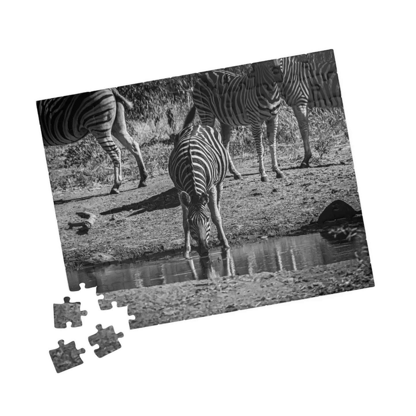 African Zebra Jigsaw Puzzle B&W