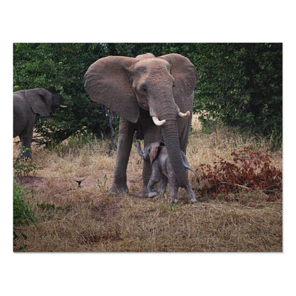 Jigsaw Puzzle (30, 110, 252, 500, 1000 Piece) - Elephant and Calf