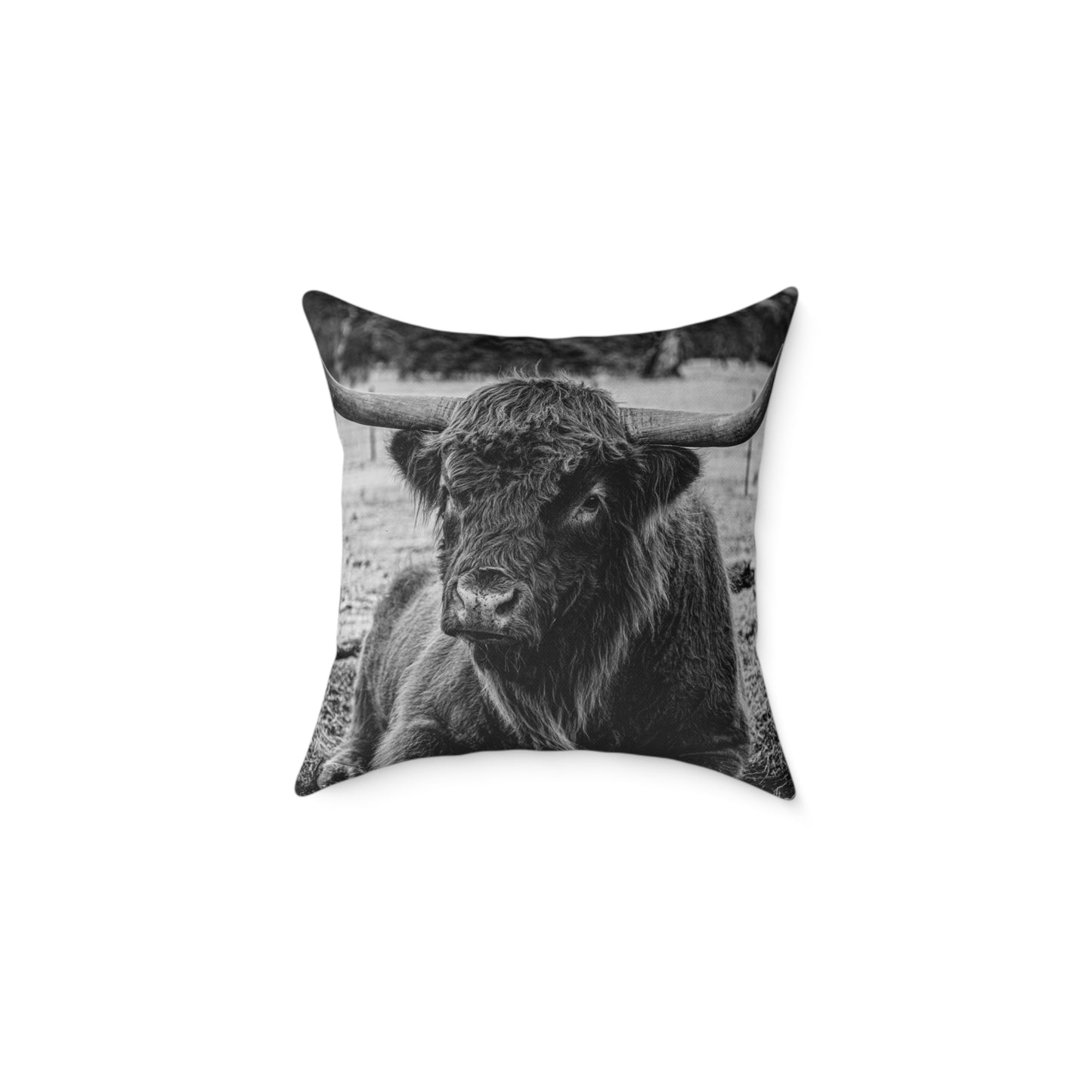 Highland Cattle Pillow B&W 18" × 18"