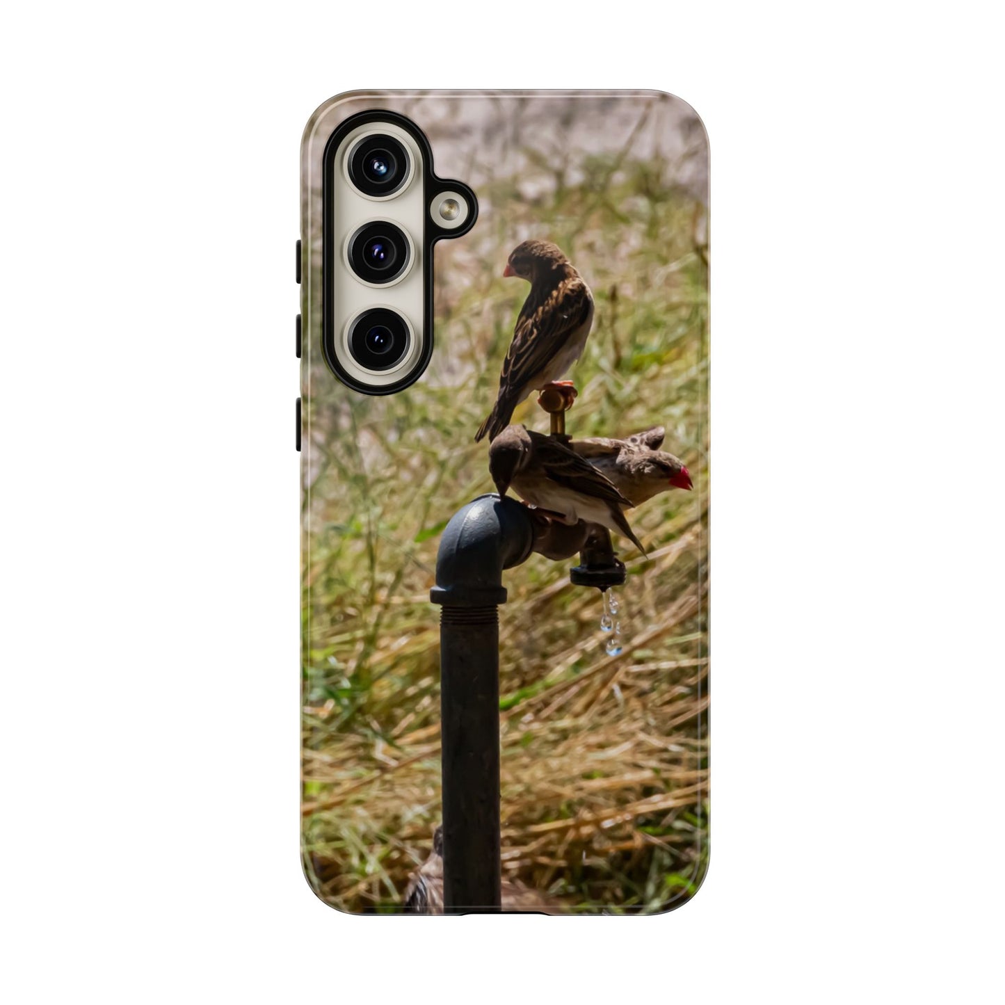 Tough Case - Birds at A Dripping Tap Samsung Galaxy S24 Plus Glossy