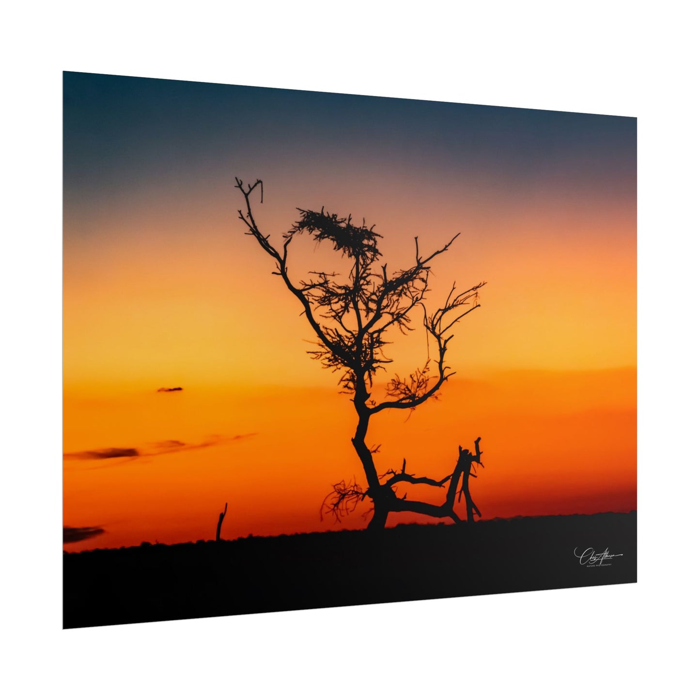 Rolled Posters - Sunset over the Kalahari