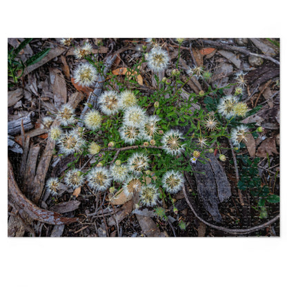 Jigsaw Puzzle (30, 110, 252, 500, 1000 Piece) - Australian Wildflower Collection