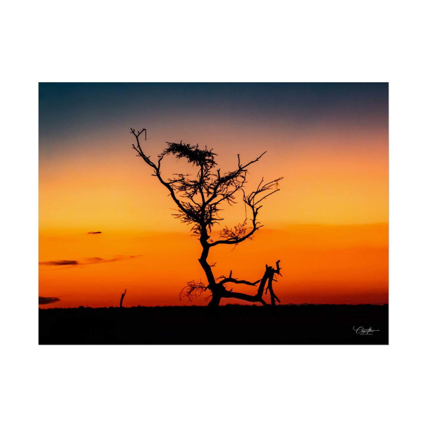 Rolled Posters - Sunset over the Kalahari