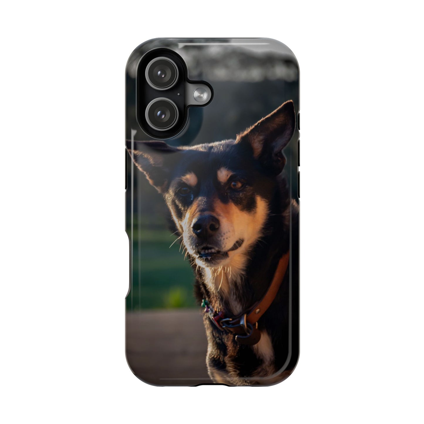 Magsafe® Compatible Tough Cases - Saba The Kelpie iPhone 17 Glossy