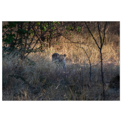 Leopard Cub Photo Jigsaw Puzzle with Tin