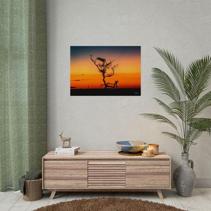 Rolled Posters - Sunset over the Kalahari 33.1" x 23.4" (Horizontal) Fine Art