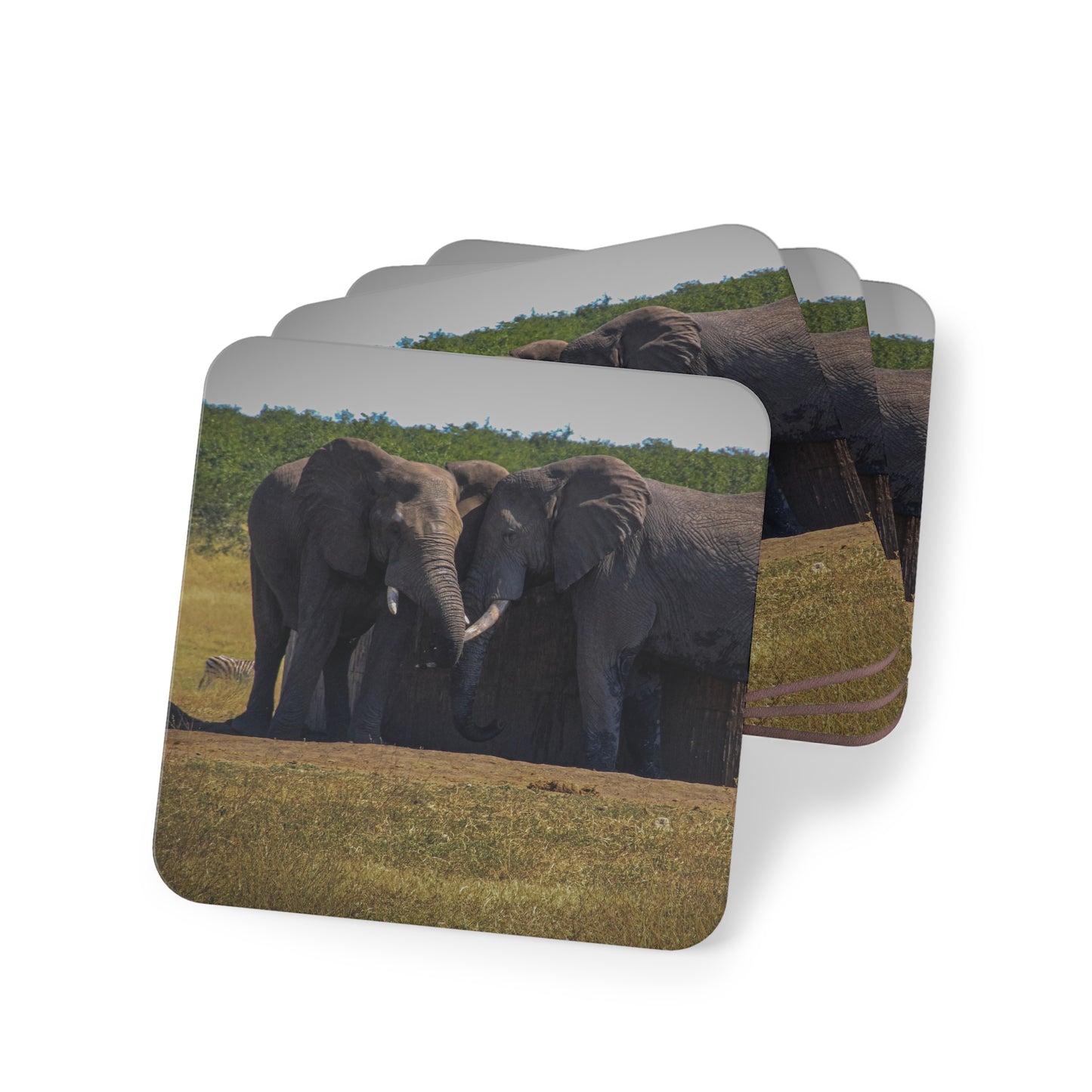 Friendly Elephants Coaster Square 3.7" x 3.7" 4pcs