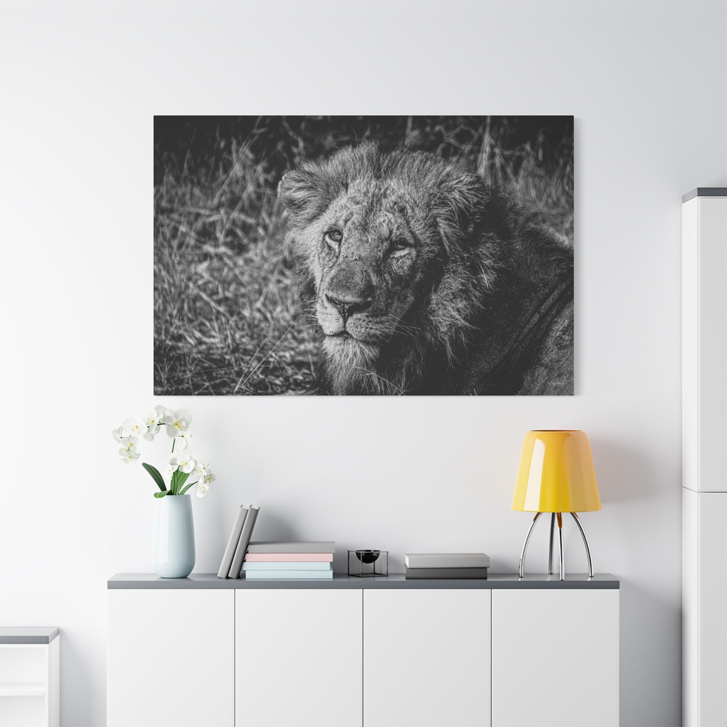 Old Lion Canvas Print B&W