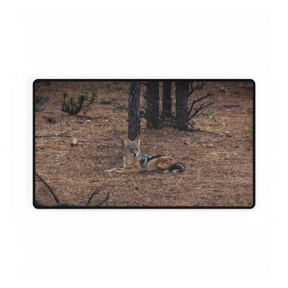 Desk Mats - Black Backed Jackal