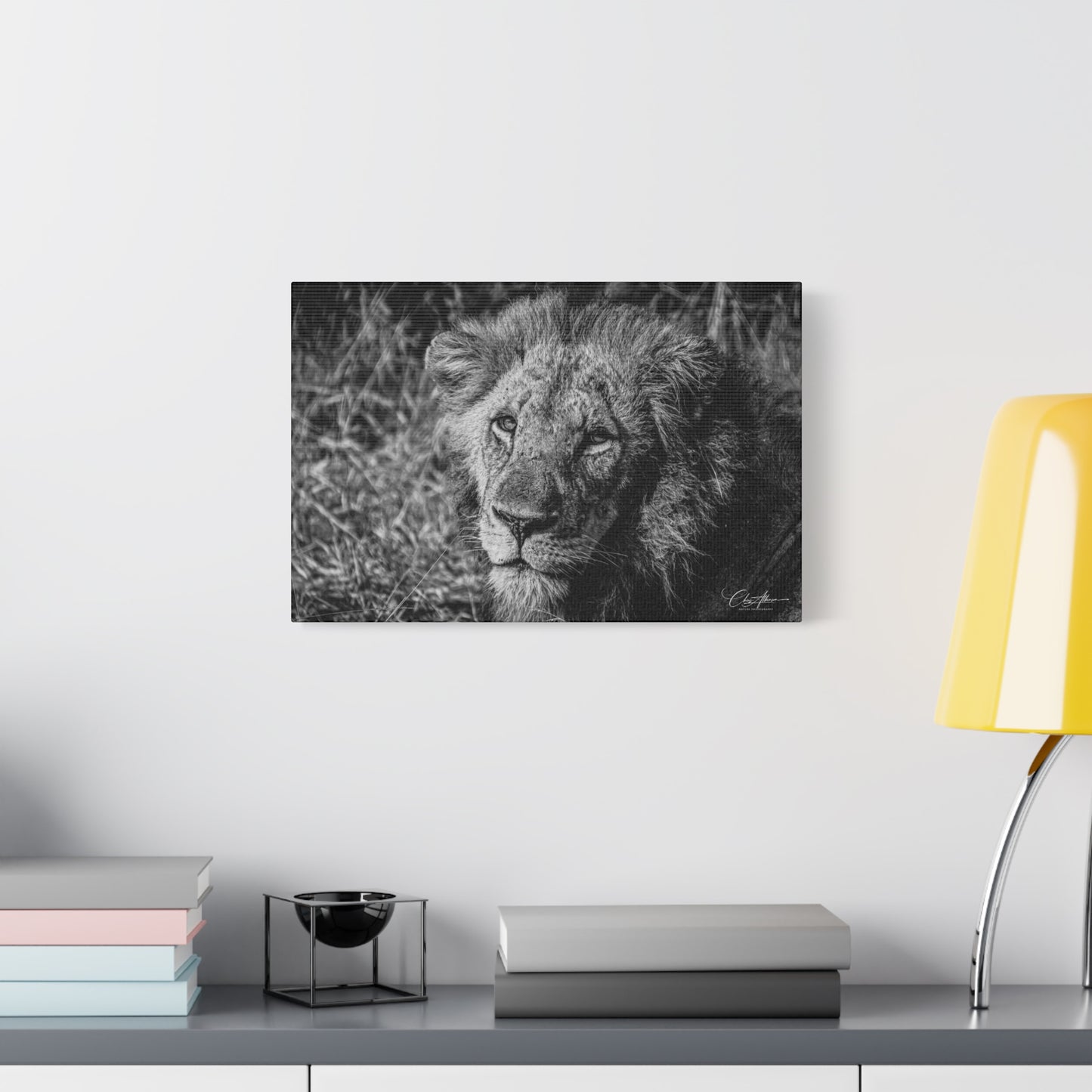 Old Lion Canvas Print B&W