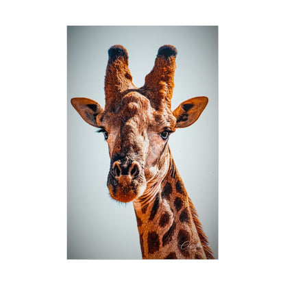 Portrait of Giraffe Poster 11″ x 17″ (Vertical) Matte