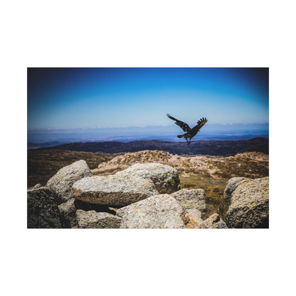 Little Raven Mt Kosciuszko Canvas Print 60" x 40" (Horizontal) 1.25"