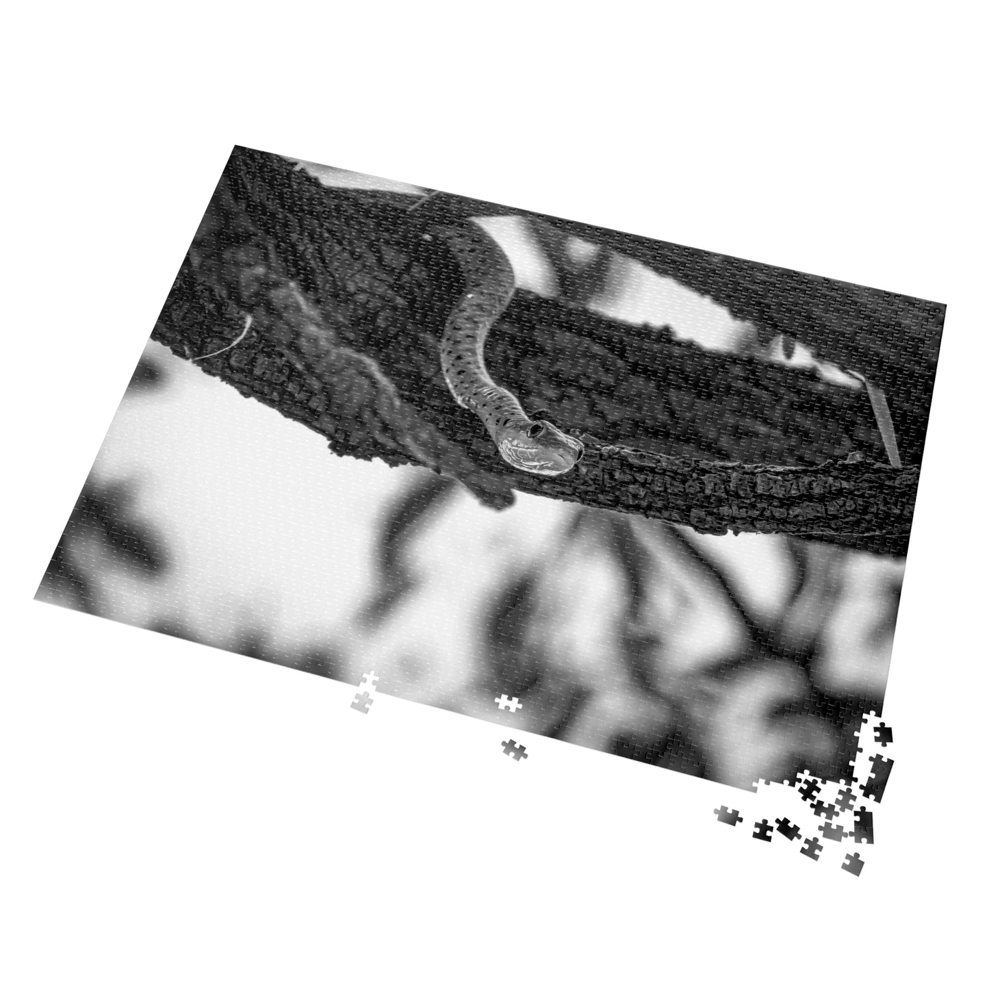 Spotted Bush Snake Puzzle with Tin B&W