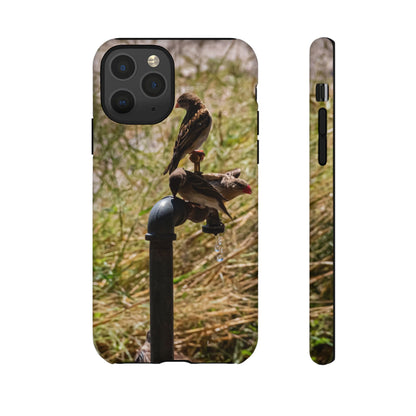 Tough Case - Birds at A Dripping Tap iPhone 11 Pro Glossy