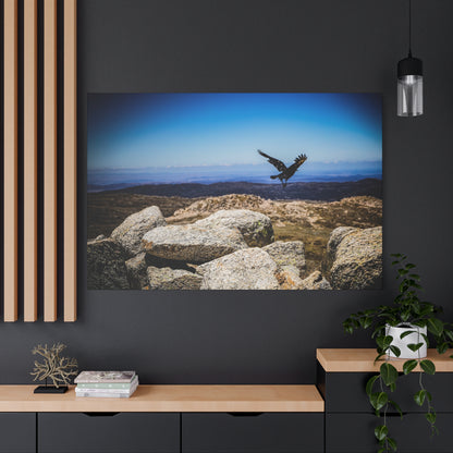 Little Raven Mt Kosciuszko Canvas Print