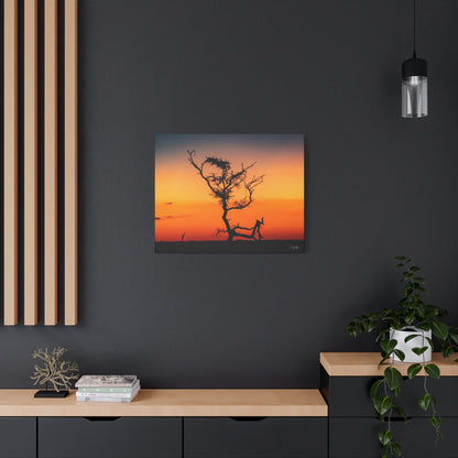 Matte Canvas, Stretched, 1.25" - Sunset over the Kalahari