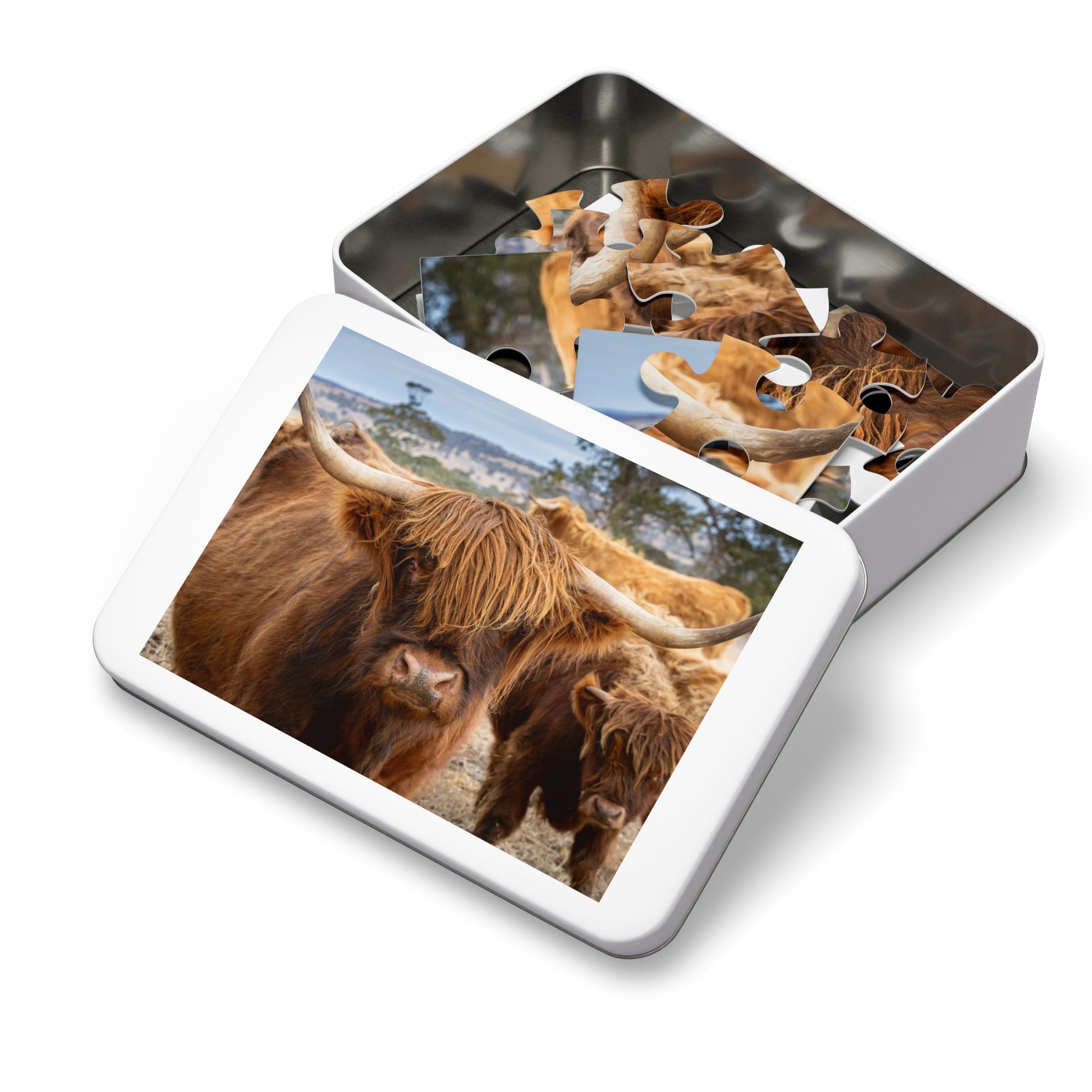 Scottish Highland Cattle Puzzle with Tin