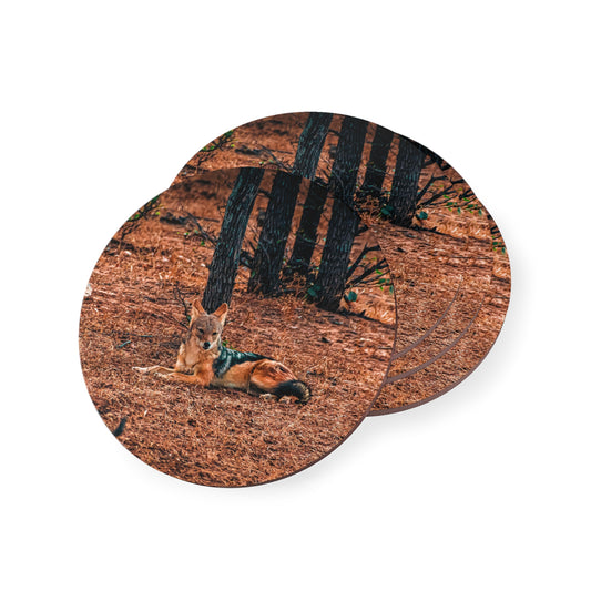 Black-Backed Jackal Coasters