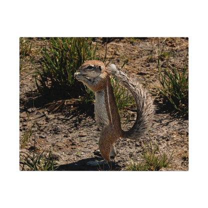 Jigsaw Puzzle (30, 110, 252, 500, 1000 Piece) - Ground Squirrel