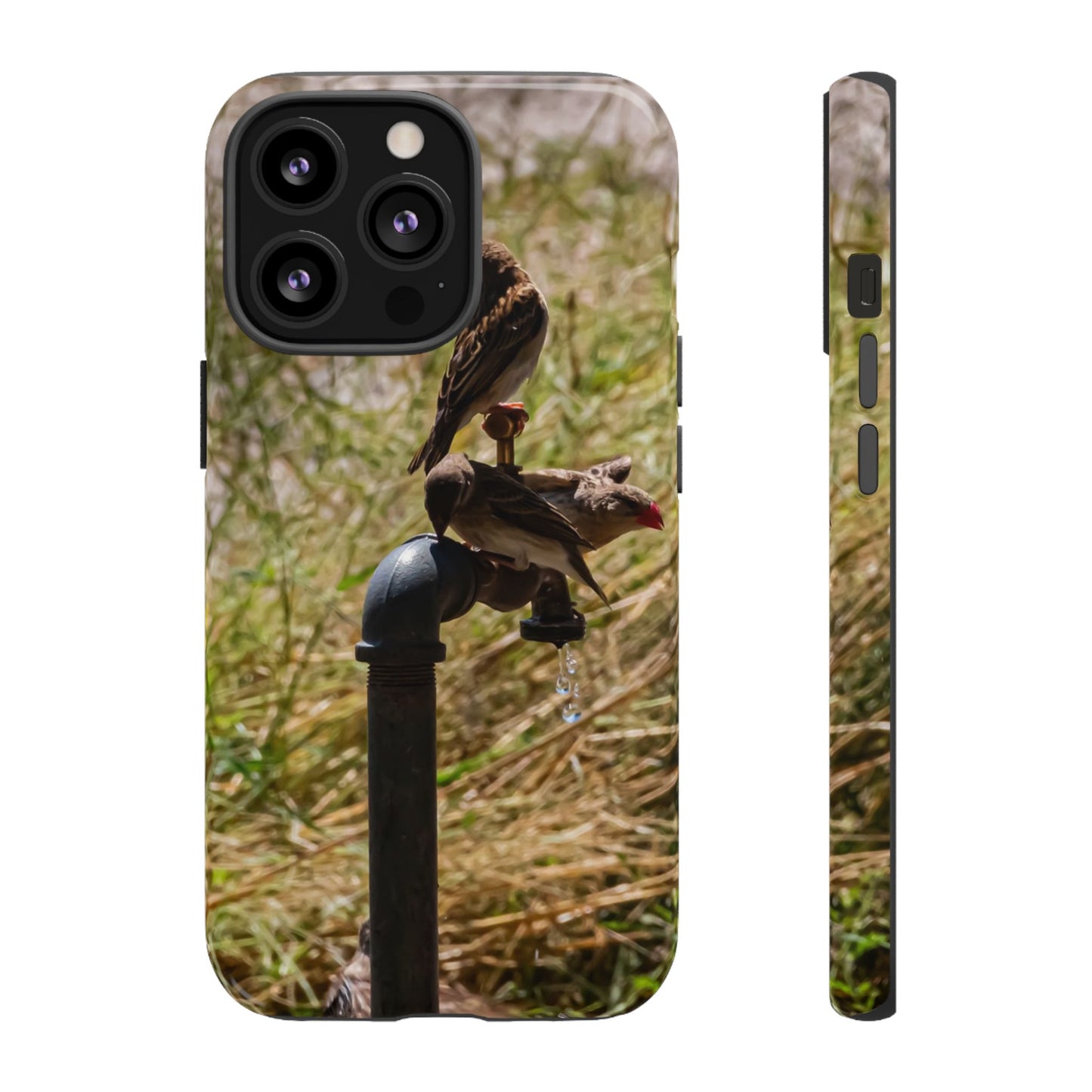 Tough Case - Birds at A Dripping Tap iPhone 13 Pro Glossy