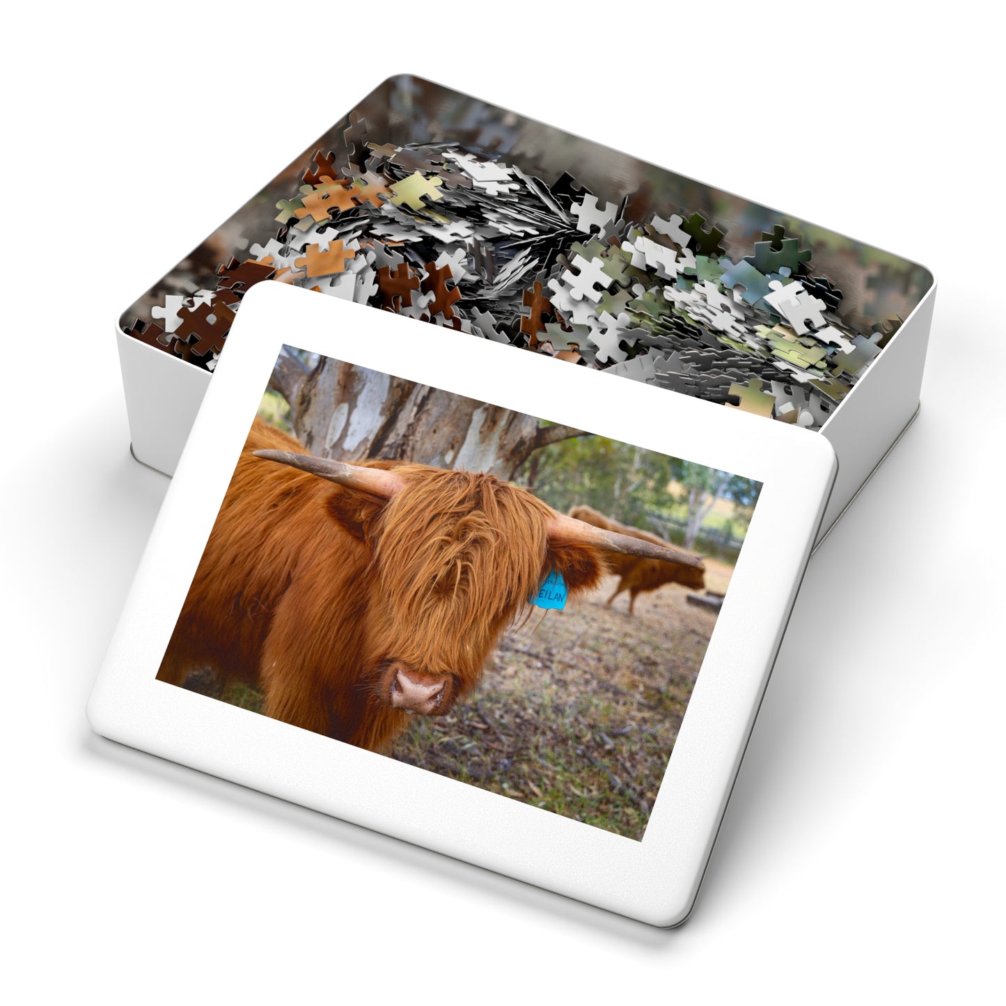 Scottish Highland Cattle Puzzle with Tin