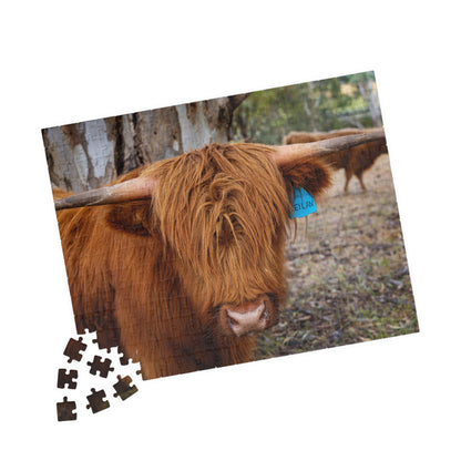 Puzzle (110, 252, 520, 1014-piece) - Scottish Highland Cattle