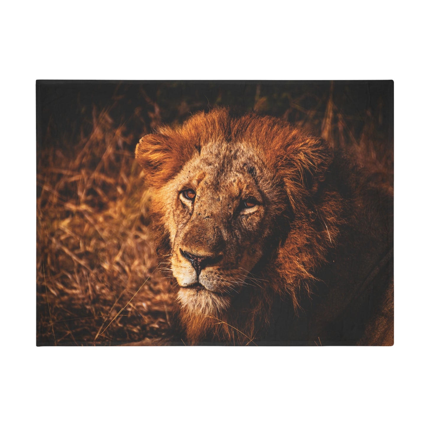 Lion Fleece Blanket 60" × 80"