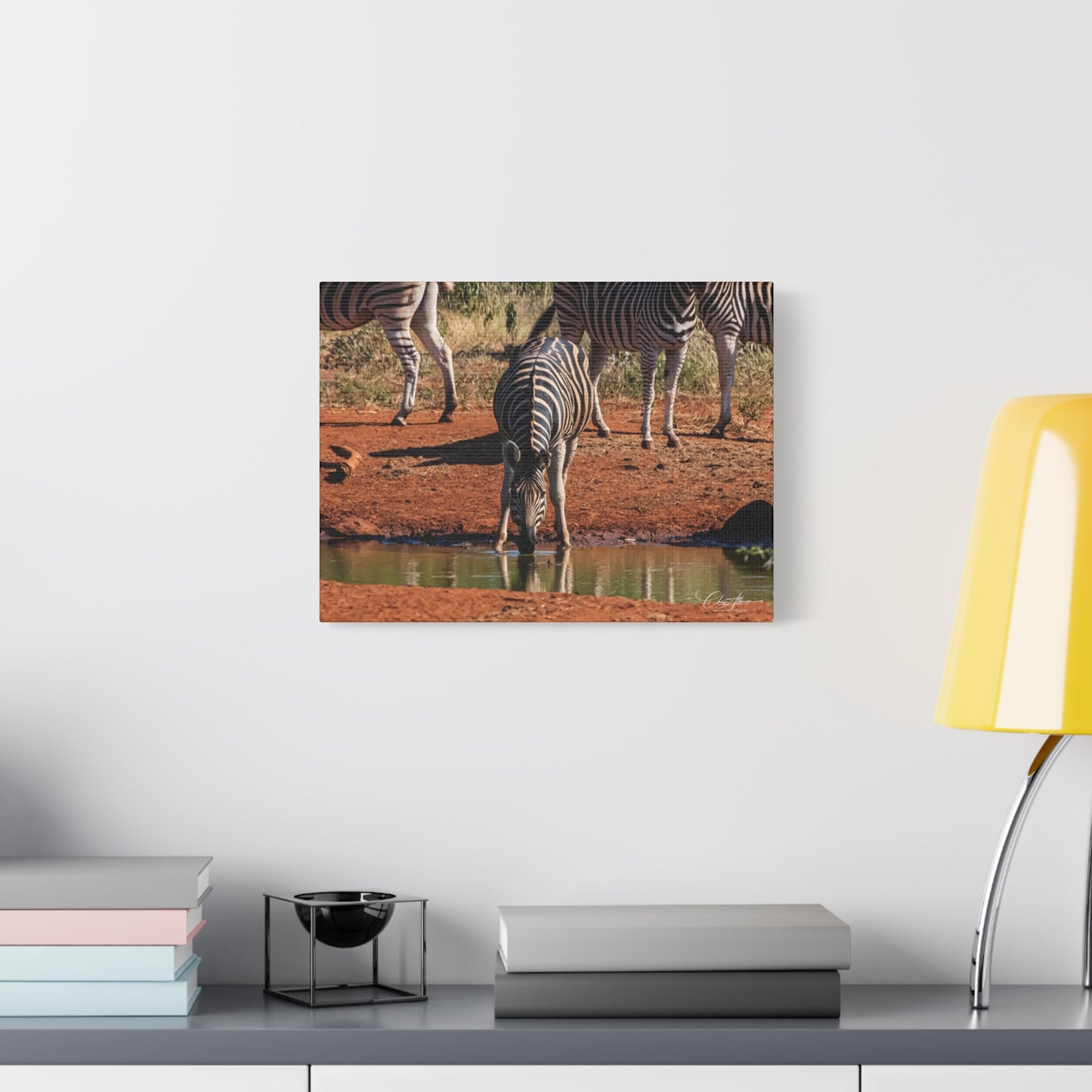 Matte Canvas, Stretched, 1.25" - Zebra at Waterhole