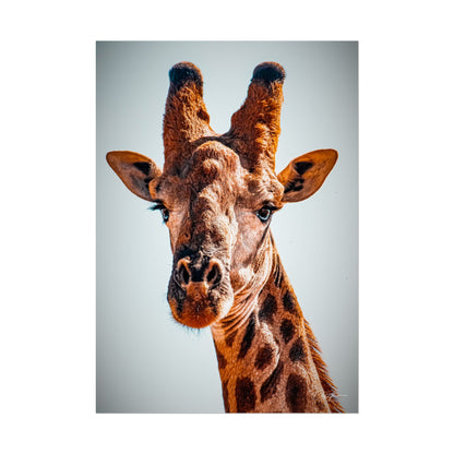 Portrait of Giraffe Poster 16.5" x 23.4" (Vertical) Semi Glossy