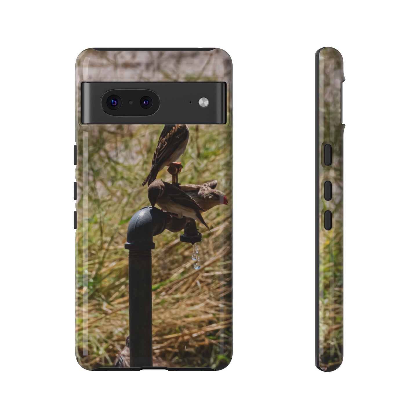 Tough Case - Birds at A Dripping Tap Google Pixel 7 Glossy