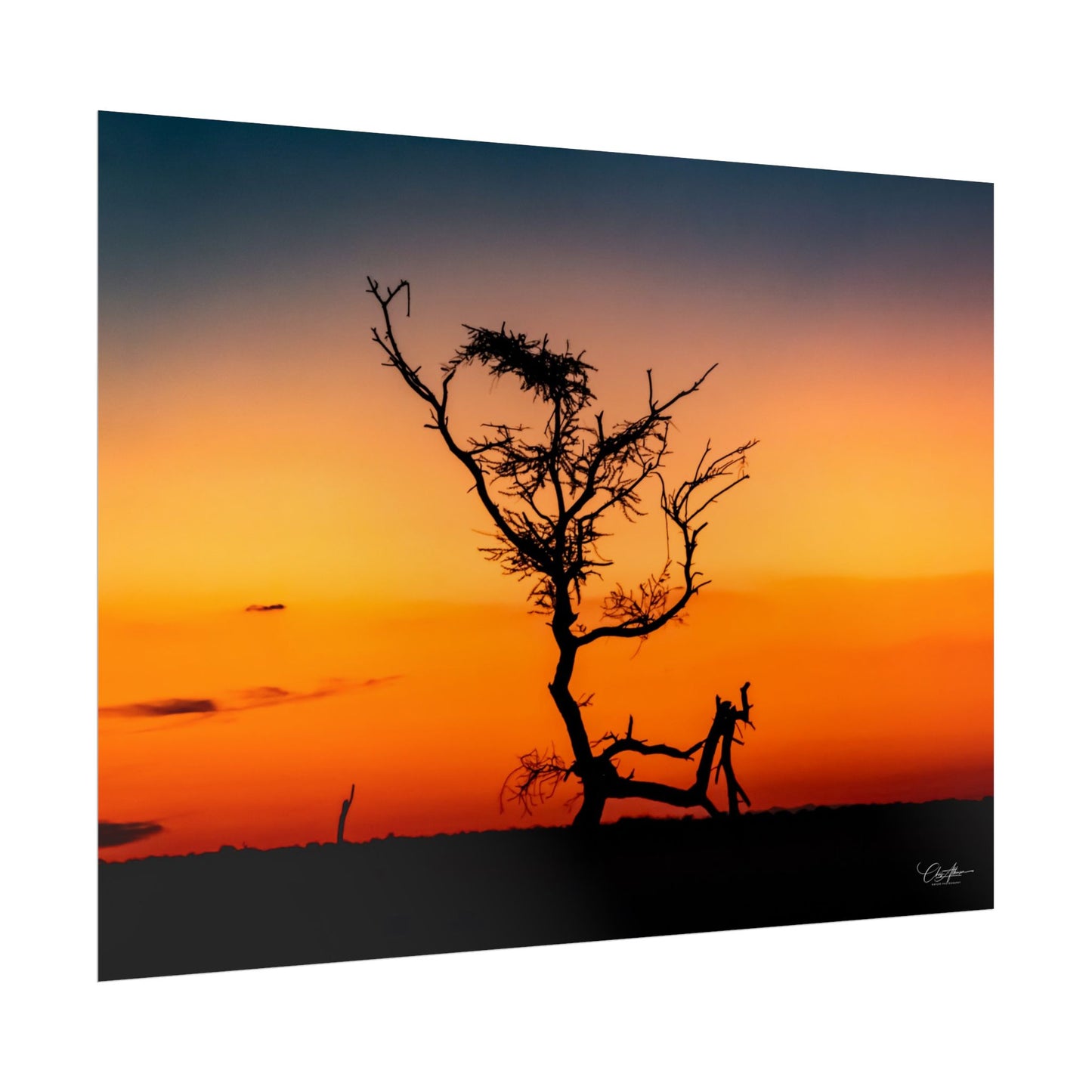 Rolled Posters - Sunset over the Kalahari