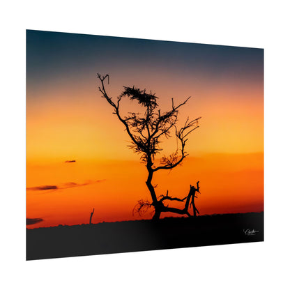 Rolled Posters - Sunset over the Kalahari