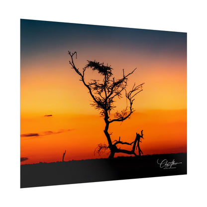 Rolled Posters - Sunset over the Kalahari