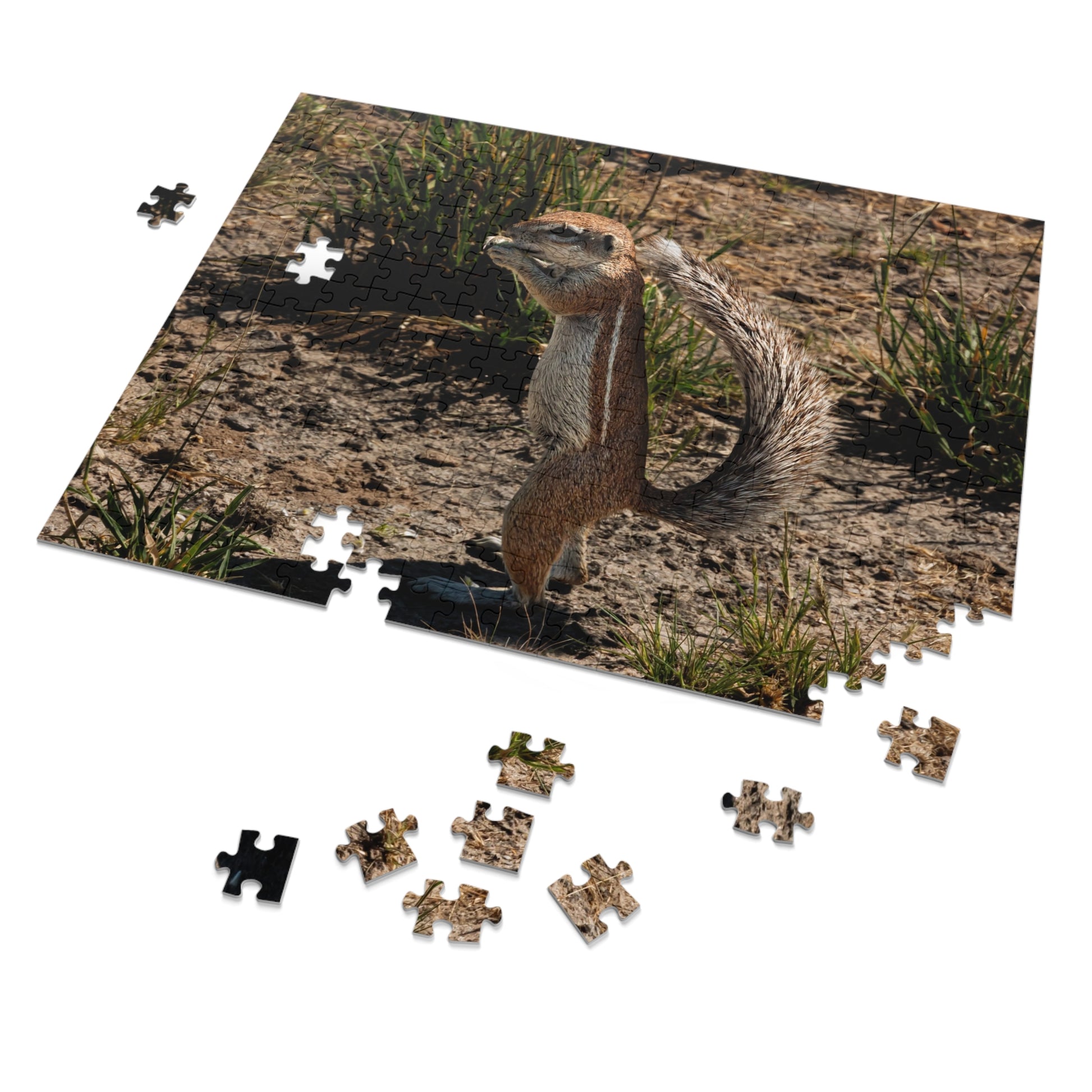 Ground Squirrel Jigsaw Puzzle with Tin