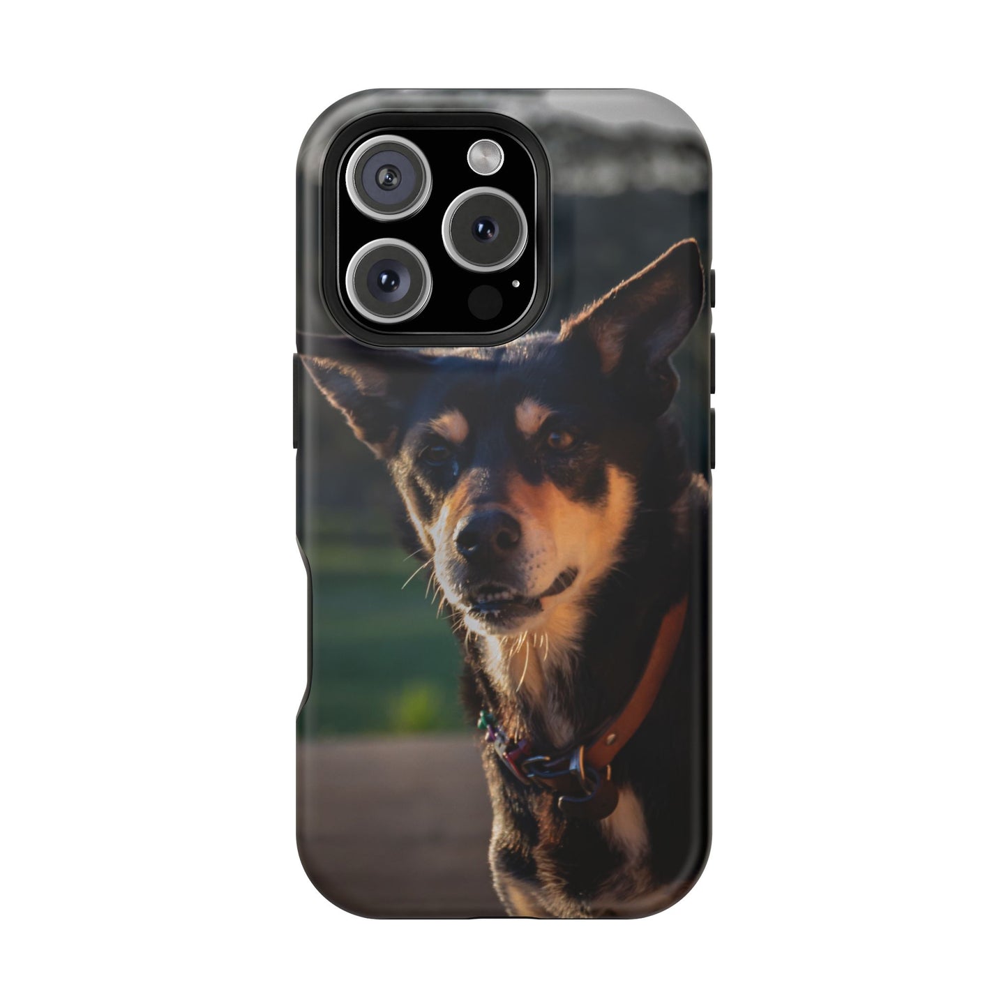 Magsafe® Compatible Tough Cases - Saba The Kelpie iPhone 16 Pro Matte