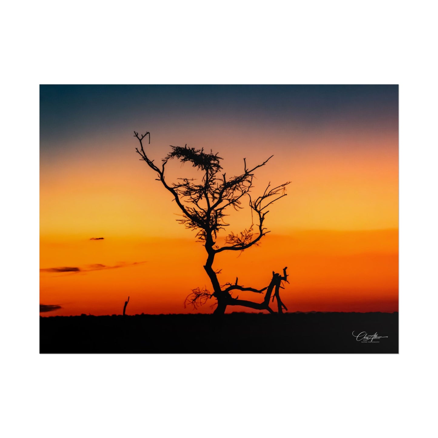 Rolled Posters - Sunset over the Kalahari