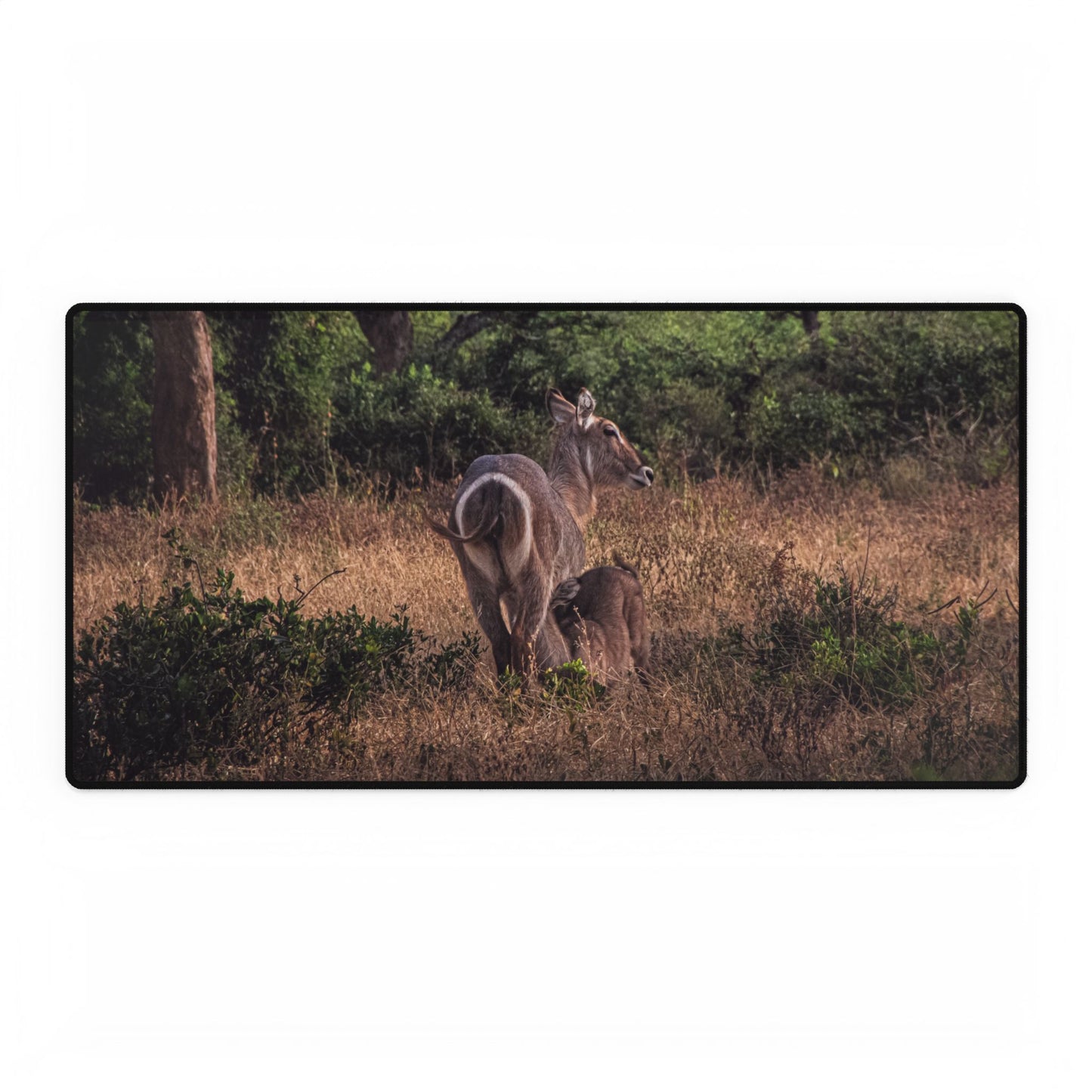 Desk Mats - Waterbuck and Baby