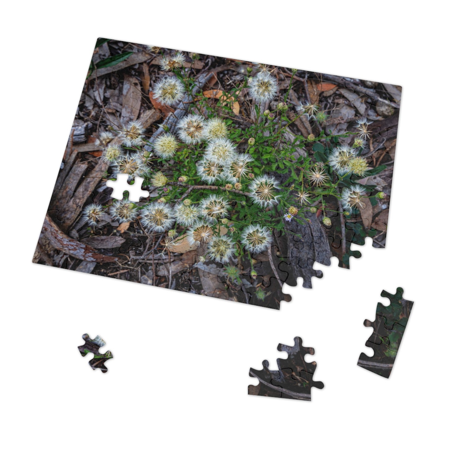 Jigsaw Puzzle (30, 110, 252, 500, 1000 Piece) - Australian Wildflower Collection