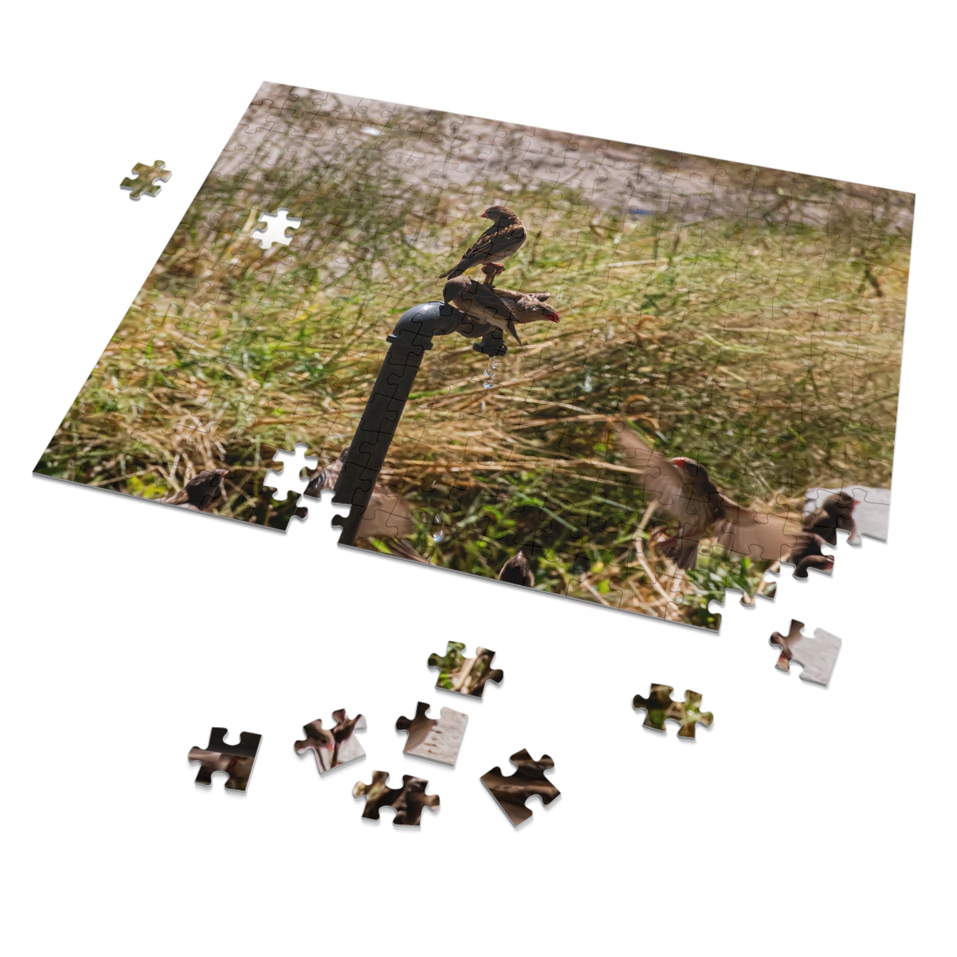 African Birds Jigsaw Puzzle with Tin