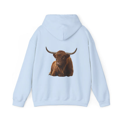 Highland Cattle Hoodie