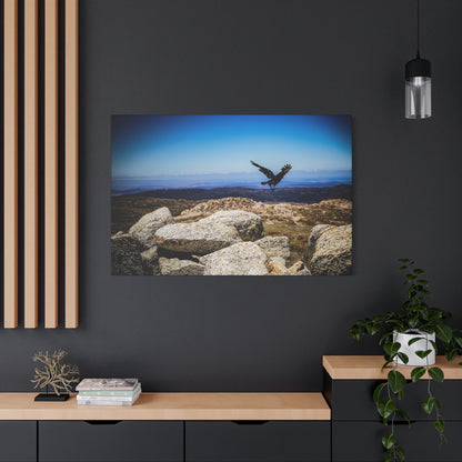 Little Raven Mt Kosciuszko Canvas Print