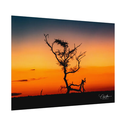 Rolled Posters - Sunset over the Kalahari