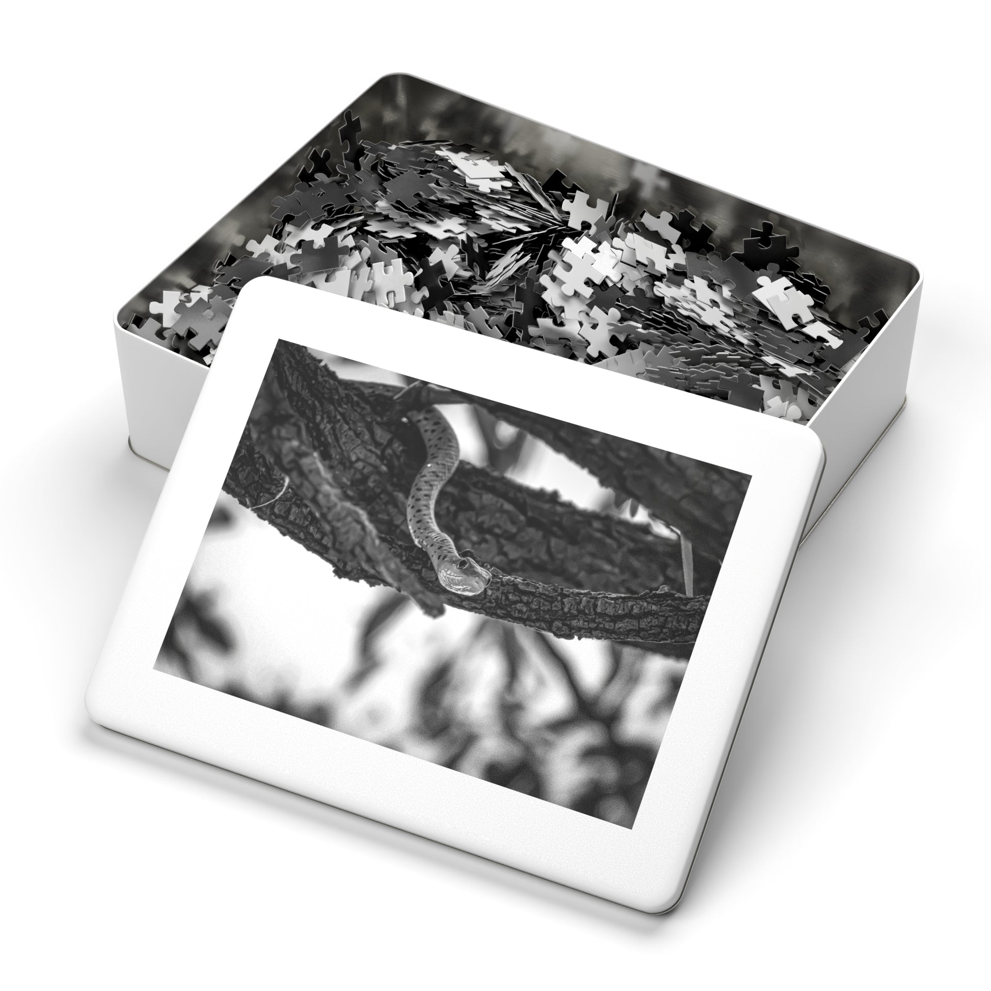 Spotted Bush Snake Puzzle with Tin B&W